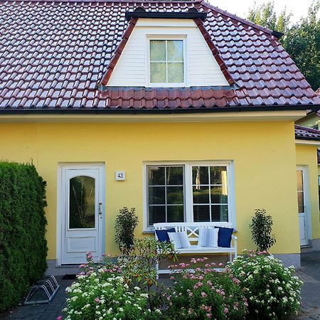 Willa Am Deich 43 Zingst Zewnętrze zdjęcie